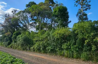 Terreno à venda na localidade de campo novo, centro, piên, 20000 m2 por r$ 85.000