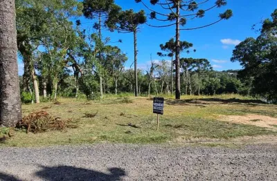 Terreno à venda na Rua Dom Pedro I, Cruzeiro, Rio Negrinho por R$ 140.000