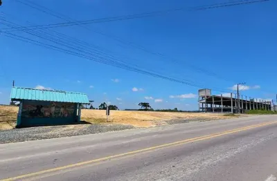 Terreno comercial à venda na Rodovia BR 280, Vista Alegre, Rio Negrinho por R$ 2.700.000