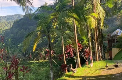 Chácara / sítio com 24 quartos à venda na Avenida Brasil, Zona Rural, Juquiá