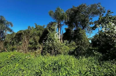 Terreno à venda na Avenida Floriano Peixoto, quadra 51, Cambijú, Itapoá