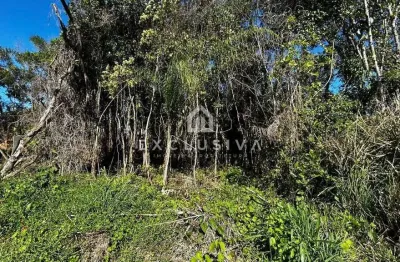 Terreno à venda na Rua 577 Ewerton Marcos De Souza, 10- Q45, Cambijú, Itapoá
