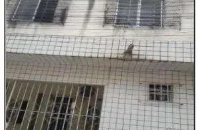 Oportunidade única em abreu e lima - pe | tipo: apartamento | negociação: venda direta online  | situação: imóvel