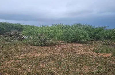 Oportunidade única em sao vicente - rn | tipo: terreno | negociação: venda direta online  | situação: imóvel