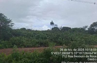 Oportunidade única em sao goncalo do amarante - rn | tipo: terreno | negociação: venda online  | situação: imóvel