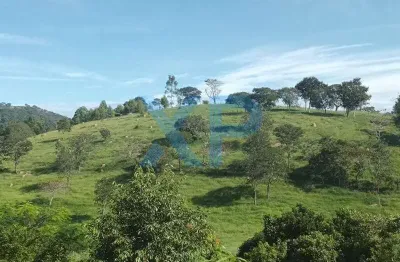 Fazenda à venda, 2 quartos, zona rural - santo antônio dos campos/mg