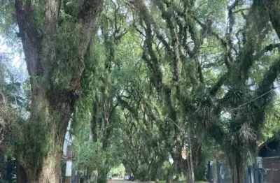 Terreno à venda na rua conselheiro xavier da costa, --, ipanema, porto alegre por r$ 640.000