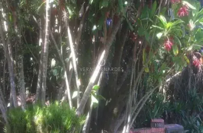 Terreno à venda na avenida arlindo pasqualini, --, jardim isabel, porto alegre por r$ 1.200.000