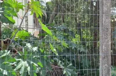 Terreno à venda na rua doutor arnaldo da silva ferreira, --, jardim isabel, porto alegre por r$ 700.000