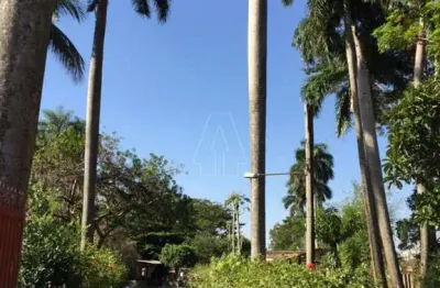 Terreno comercial à venda no Chácaras TV, Araçatuba 