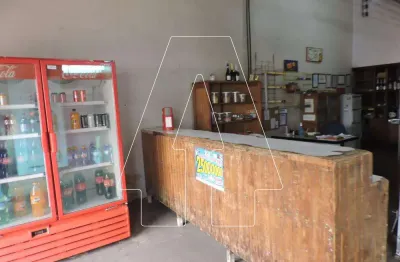 Casa com 4 quartos para alugar na Vila Industrial, Araçatuba 