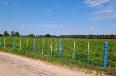 Fazenda à venda no Centro, Araçatuba 
