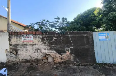 Terreno com testada de 13m de frente, murado, próximo a emissora tvi