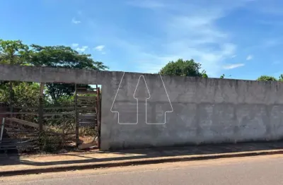 Terreno comercial para alugar no Petit-Trianon, Araçatuba 