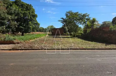 Terreno à venda no Petit-Trianon, Araçatuba 