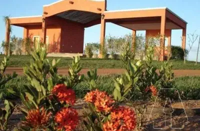 Chácara / sítio com 3 quartos à venda no cafezópolis, araçatuba  por r$ 2.500.000