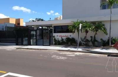 Apartamento com 4 quartos para alugar na vila mendonça, araçatuba  por r$ 5.500