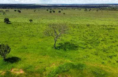 Fazenda à venda no centro, paraíso das águas  por r$ 40.000.000