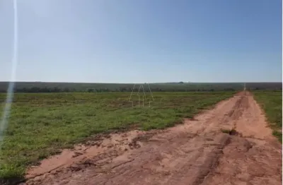 Fazenda à venda no Centro, Naviraí 