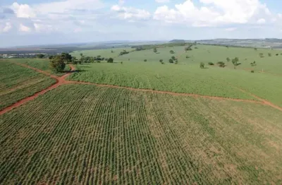 Fazenda à venda no Centro, Ribeirão Preto 