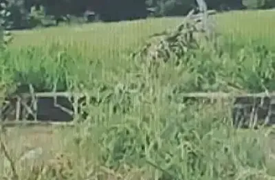 Terreno à venda na melvin jones  ao lado 454, 464, morada dos nobres, araçatuba por r$ 1.350.000