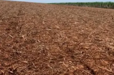 Fazenda à venda na vila monte alegre, ribeirão preto  por r$ 30.000.000