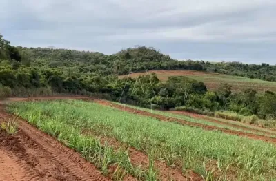 Fazenda à venda na são carlos, centro, são carlos por r$ 14.000.000