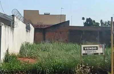 Terreno à venda no Presidente, Araçatuba 