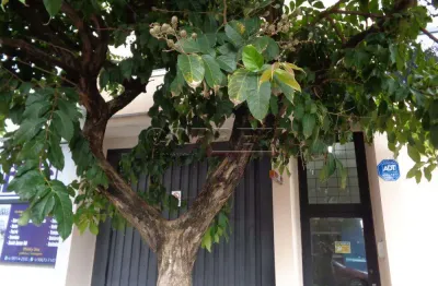 Prédio para alugar na brasil, 361, são joão, araçatuba por r$ 4.000