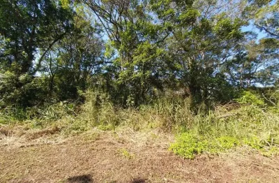 Terreno à venda na Avenida Dom Henrique II, Santa Terezinha, Itapoá