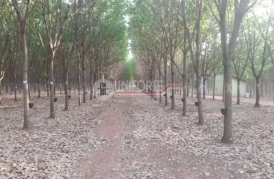 Chácara / sítio à venda no Setor Central, Aporé 