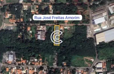 Terreno à venda na rua josé freitas amorim, 222, mansões santo antônio, campinas, 2334 m2 por r$ 8.000.000