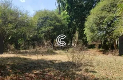 Terreno comercial à venda na Rua Mariazinha Leite Campagnolli, 934, Parque Xangrilá, Campinas