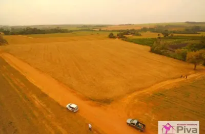 Chácara / sítio à venda no Taquari Ponte, Leme 