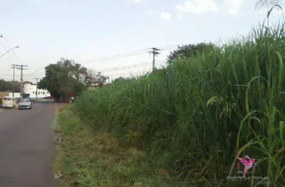 Terreno à venda, 500 m² por r$ 400.000 - barra funda - leme/sp