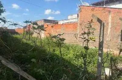 Terreno à venda, 154 m² por r$ 70.000,00 - jardim são rafael - leme/sp