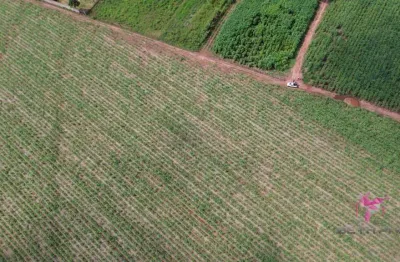 Terreno à venda, 5002 m² por r$ 300.000,00 - área rural - pirassununga/sp