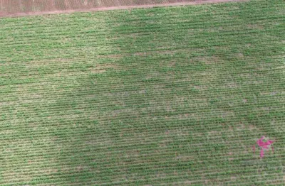 Terreno à venda, 5004 m² por r$ 300.000,00 - área rural - pirassununga/sp