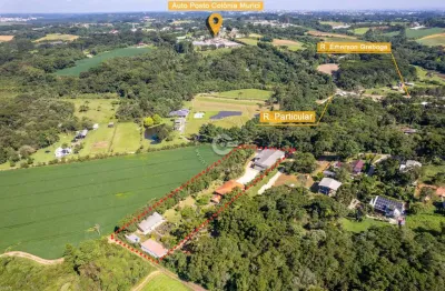 Chácara / sítio com 3 quartos à venda na rua emerson greboge, 984, colônia murici, são josé dos pinhais, 5000 m2 por r$ 1.450.000