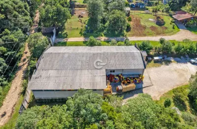 Chácara / sítio com 3 quartos à venda na rua emerson greboge, 984, colônia murici, são josé dos pinhais, 5000 m2 por r$ 1.450.000