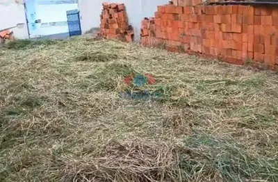 Terreno à venda, jardim dos colibris - indaiatuba/sp