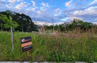 Terreno à venda na Ac. São Vendelino, 00, Faria Lemos (Distrito), Bento Gonçalves