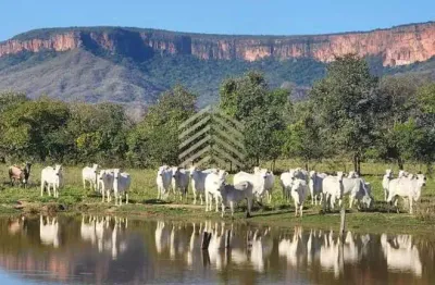Fazenda à venda na Nova Aquidauana, Aquidauana 