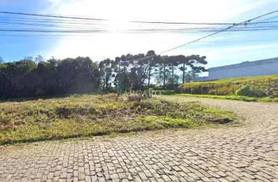 Terreno à venda na rua osvaldo sacchet, 960, nossa senhora das graças, caxias do sul, 532 m2 por r$ 350.000