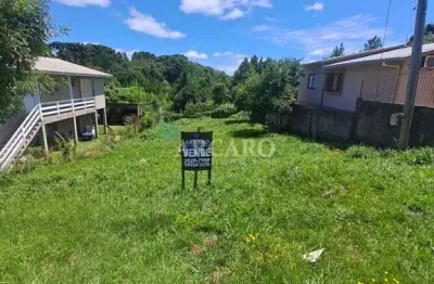 Terreno à venda na rua josé pedro ceconi, 12, saint etienne, caxias do sul, 353 m2 por r$ 280.000