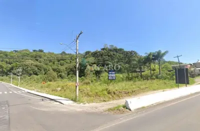 Terreno à venda na rua orlando adamatti, 129, santa corona, caxias do sul, 7000 m2 por r$ 6.000.000