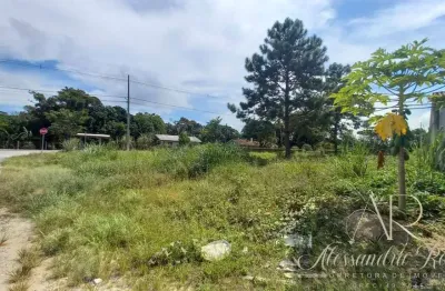 Cod 215 - lindo terreno de esquina no bairro pinheiros | b. barra do sul.