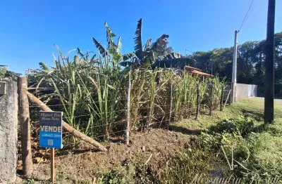 Cod 242 - terreno no bairro costeira - 500 metros da lagoa - bbs