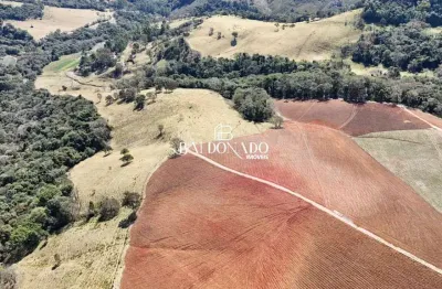 Fazenda em munhoz mg à venda escritura nascentes rio 30 alqueires