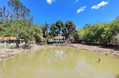 Chácara em toledo mg à venda 8400m² 2 dorm. rio agua d mina